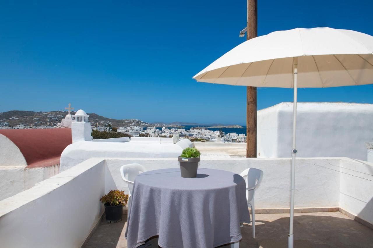 Hibiscus Rosa Location *