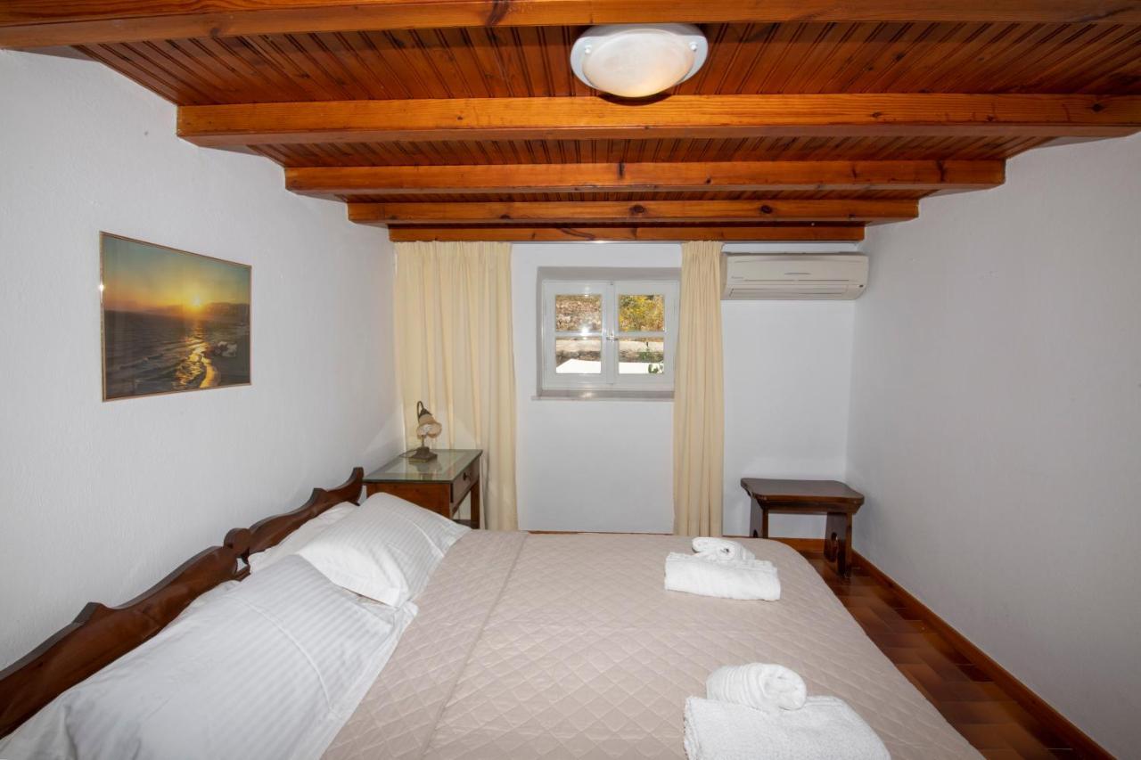 Hibiscus Rosa Location Vakantiehuis